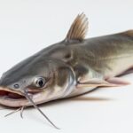 Antennino: Nature Examples and Insights from the Animal Kingdom