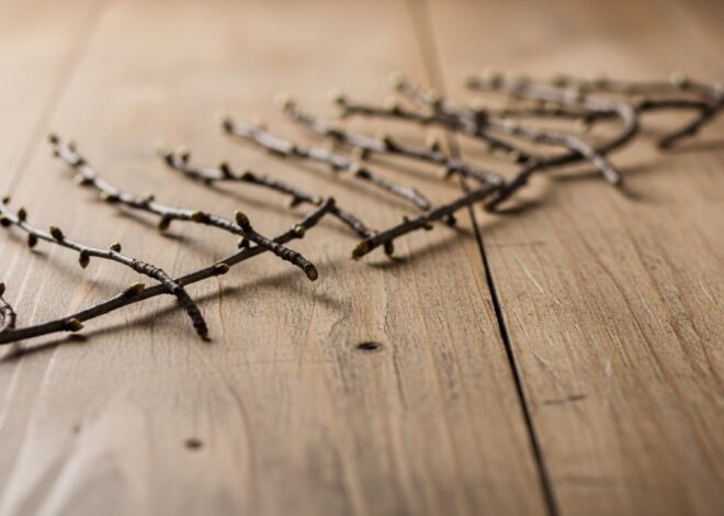 Pyntekvister: Showcasing Stunning Creations from Around the Globe